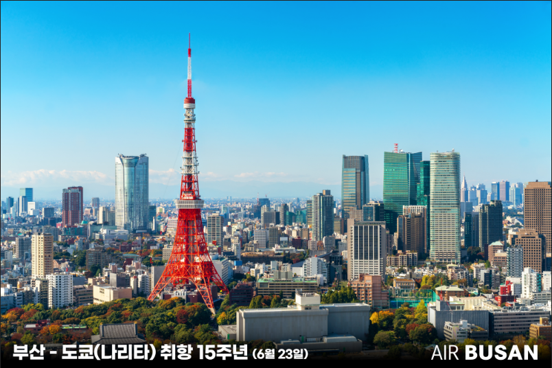 에디터 사진